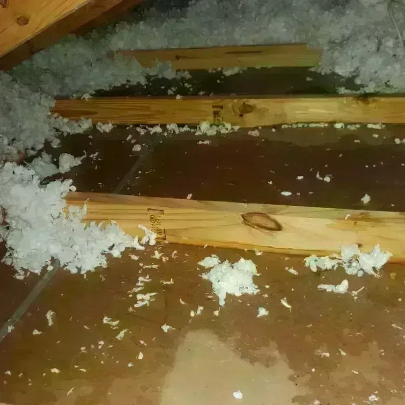 Attic Water Damage in Mineral Springs, NC